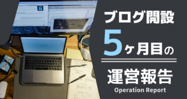 【ブログ開設５ヶ月】収益・PVなど洗いざらい晒す。【運営報告】