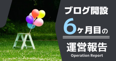 【ブログ開設６ヶ月】収益・PVなど洗いざらい晒す。【運営報告】