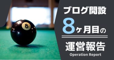 【ブログ開設８ヶ月】収益・PVなど洗いざらい晒す。【運営報告】