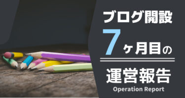 【ブログ開設７ヶ月】収益・PVなど洗いざらい晒す。【運営報告】