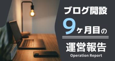 【ブログ開設９ヶ月】収益・PVなど洗いざらい晒す。【運営報告】