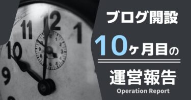 【ブログ開設10ヶ月】収益・PVなど洗いざらい晒す。【運営報告】