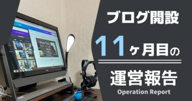 【ブログ開設11ヶ月】収益・PVなど洗いざらい晒す。【運営報告】