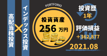 投資歴1年/資産250万円/2021年8月のポートフォリオ全公開！