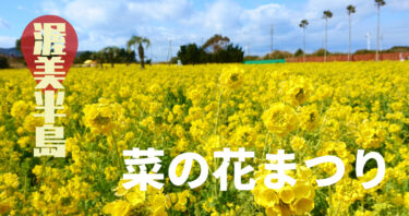 【渥美】子連れで菜の花まつり行ってきたから周辺おすすめスポットもまるっとレポる。