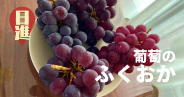 【日進】葡萄のふくおかのぶどうにきっと課金したくなる。安くておいしい！