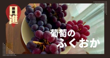 葡萄のふくおかのぶどうは課金したくなる。安くておいしい！/日進