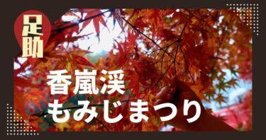 雨の紅葉！子連れで香嵐渓もみじまつりに行ってきました！/足助